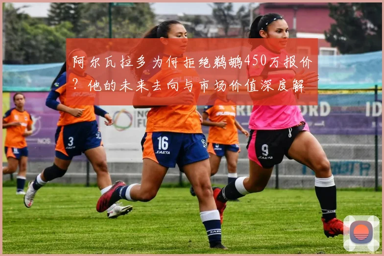 阿尔瓦拉多为何拒绝鹈鹕450万报价？他的未来去向与市场价值深度解析